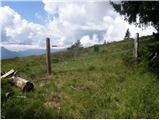 Ljubno ob Savinji - Planina Mali Travnik